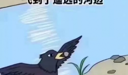 乌鸦喝水的故事视频,智慧与创新的古老寓言